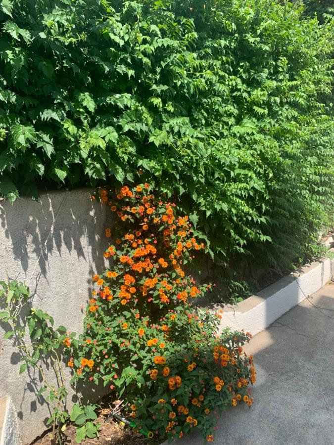Aida Apartments And Rooms For Couples And Families Free Parking 두브로브니크 외부 사진