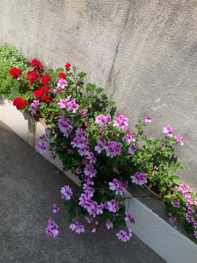 Aida Apartments And Rooms For Couples And Families Free Parking 두브로브니크 외부 사진