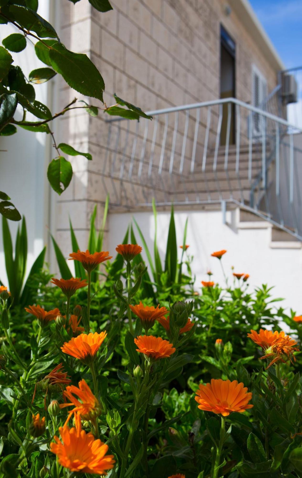 Aida Apartments And Rooms For Couples And Families Free Parking 두브로브니크 외부 사진